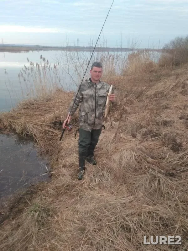 Pike — Kostromskaya oblast, May 02, 2019