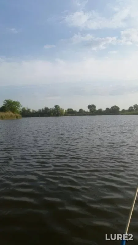 Crucian carp — Kirpili, May 19, 2019
