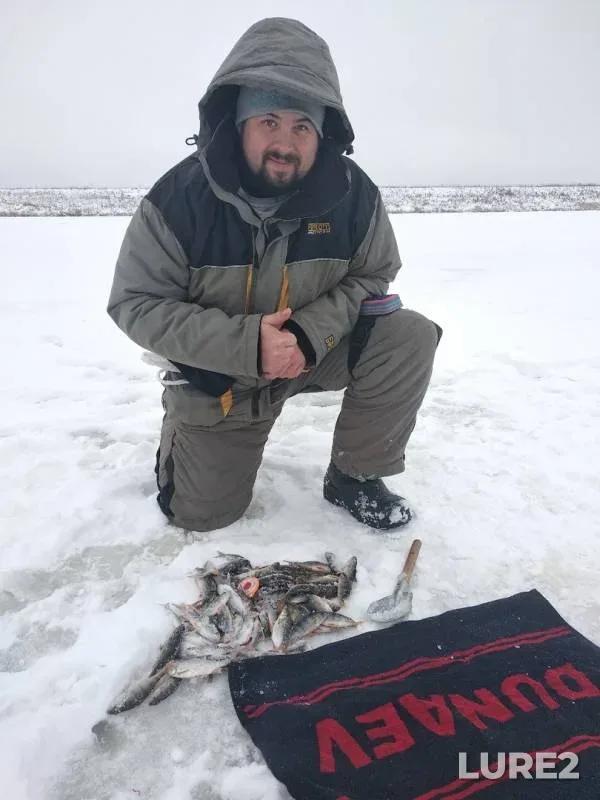 Perch — Kostroma, Dec 08, 2018