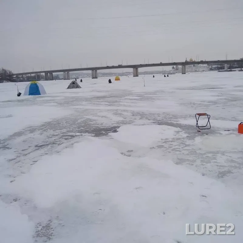 Perch — Kostroma, Dec 05, 2018