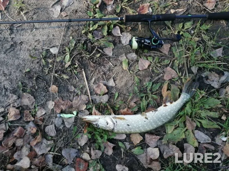 Pike — Sіverskiy Donets / Severskiy Donets, Oct 16, 2019