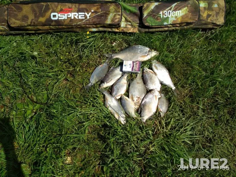 Bream — Vyatka, Jun 07, 2019