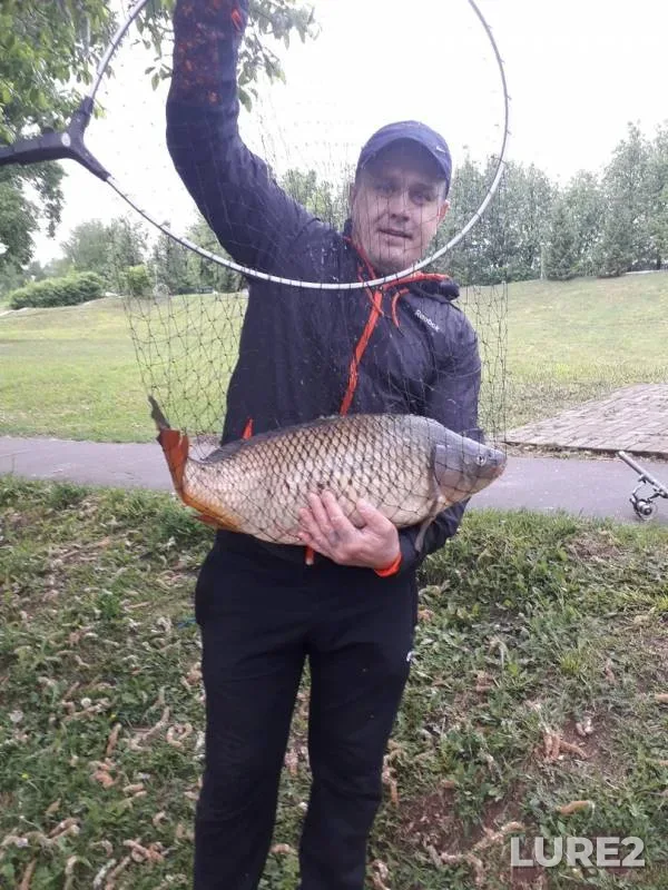 Carp — Khlynovka, May 27, 2019