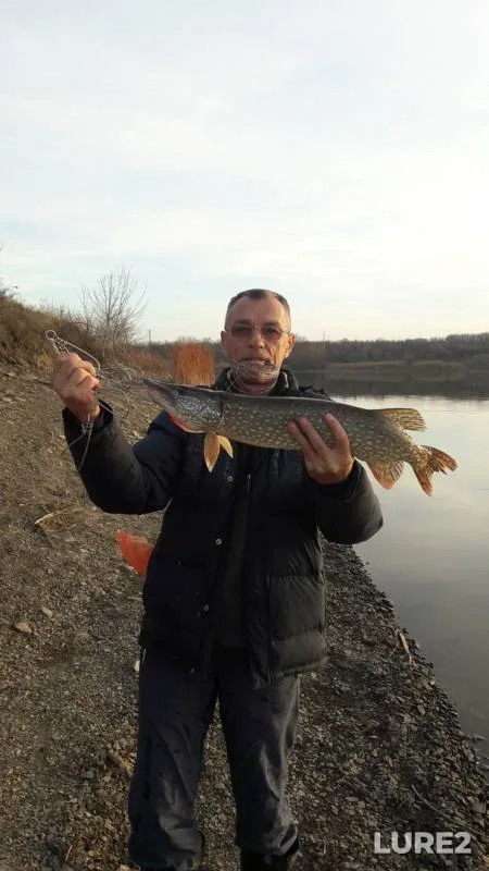 Pike — Pervozvanskoye, Nov 18, 2019