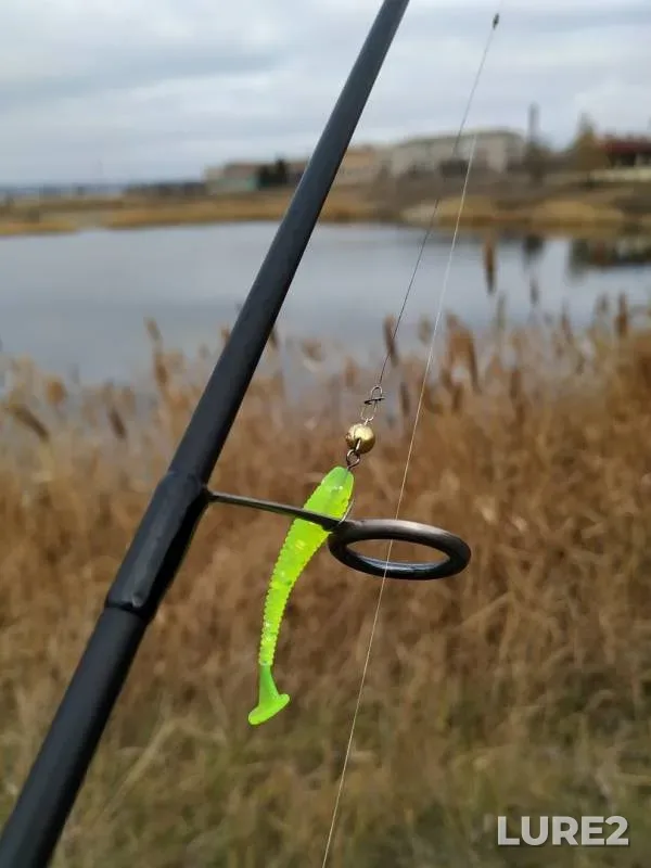 Perch, Pike — Olkhovka, Nov 10, 2019