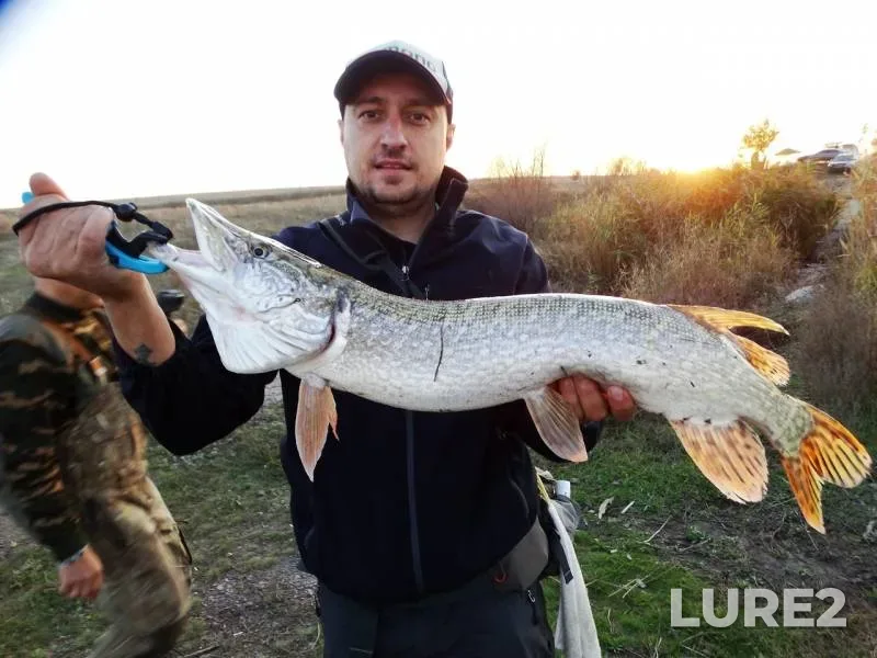 Pike — Krepkaya, Oct 27, 2019