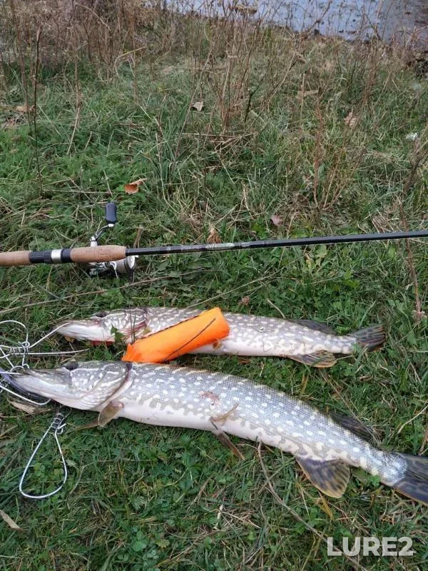 Pike — Uspenskoye, Oct 25, 2019