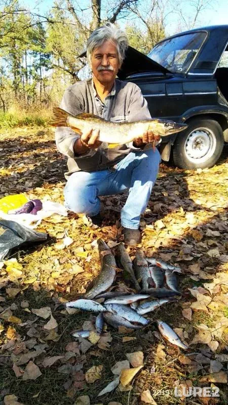 Chub, Perch — Sіverskiy Donets / Severskiy Donets, Oct 10, 2019