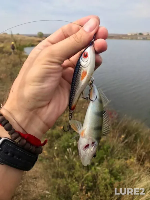 Perch, Pike — Luganska oblast, Oct 05, 2019