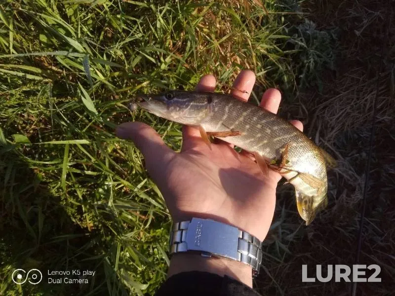 Pike — Lugan, Sep 26, 2019