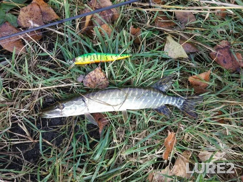 Pike — Lugan, Oct 22, 2019