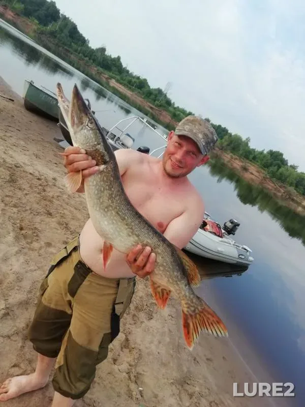 Pike, Zander — Kishkil, Jul 03, 2019