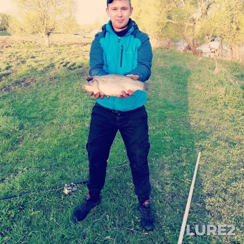 Carp, Crucian carp — Ilinskoye, May 11, 2018