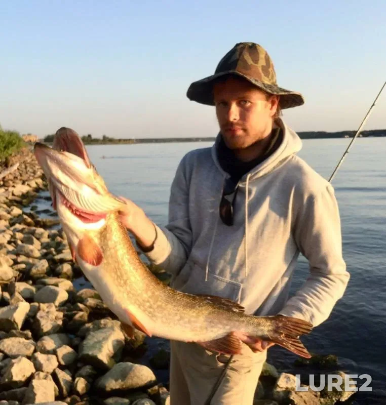 Pike — Volga, Aug 19, 2018