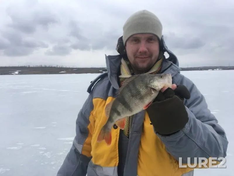Perch — Luganska oblast, Mar 03, 2019