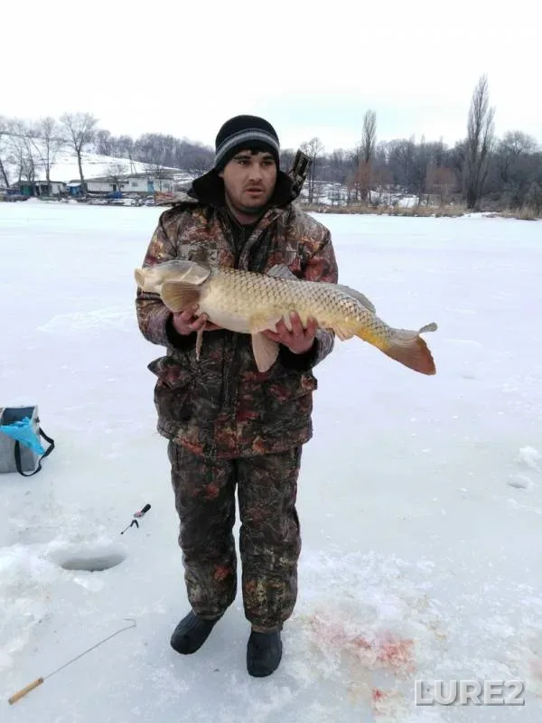 Carp — Mius, Feb 25, 2019