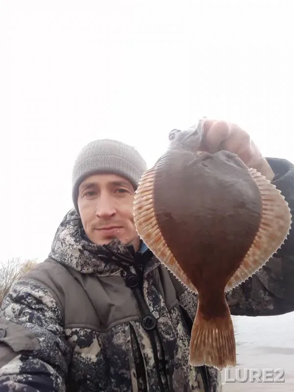 Zander — Severnaya Dvina, Oct 14, 2019