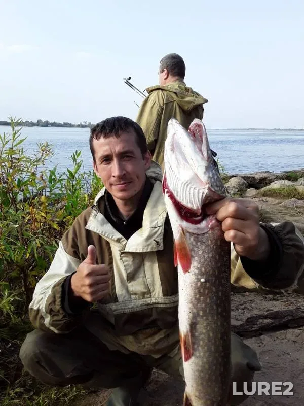 Pike — Severnaya Dvina, Sep 12, 2019