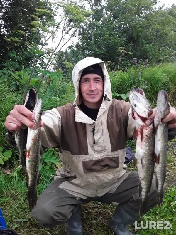 Pike — Khvostyanka, Jul 31, 2019