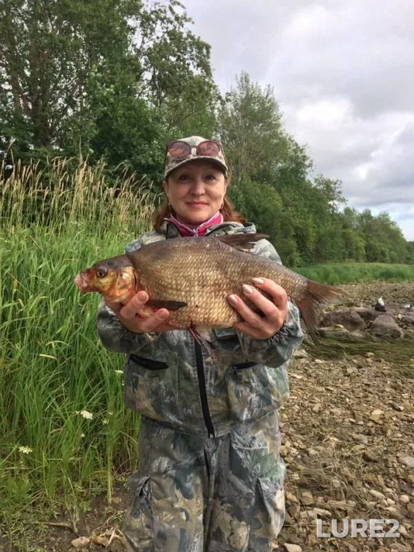 Bream — Onega, Jul 28, 2019