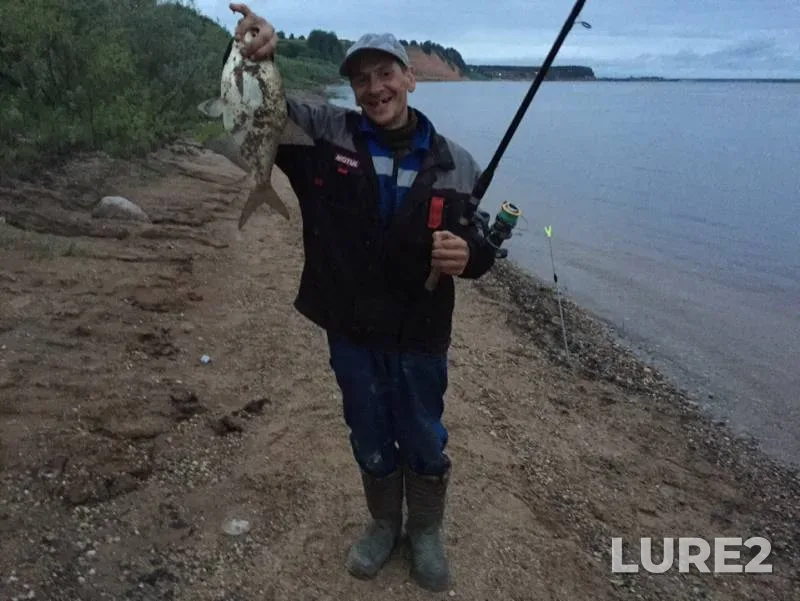 Bream — Severnaya Dvina, Jun 24, 2019