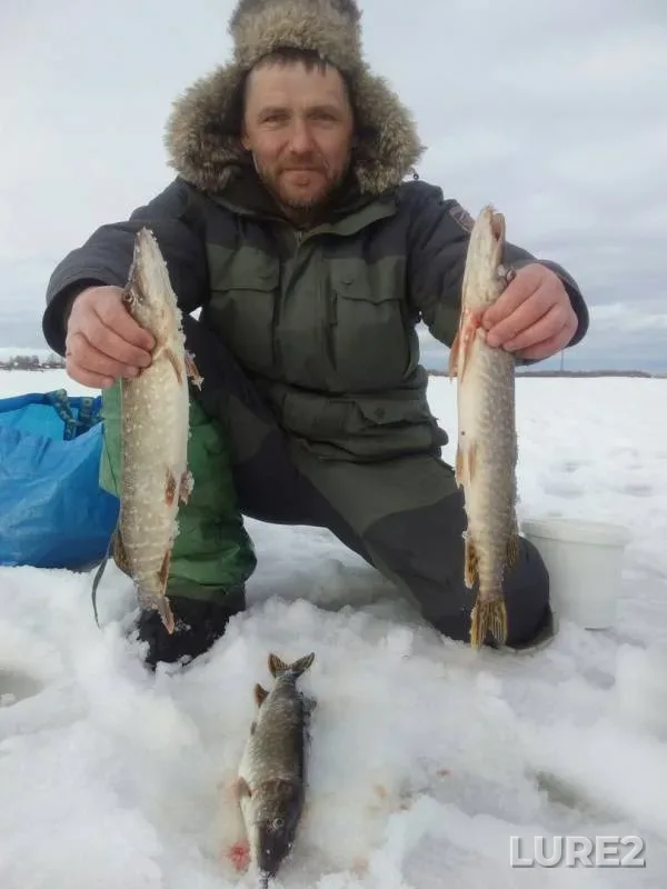 Perch, Pike — Solombalka, Apr 07, 2019