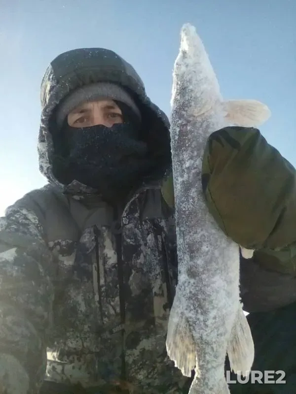 Pike — Severnaya Dvina, Mar 07, 2019