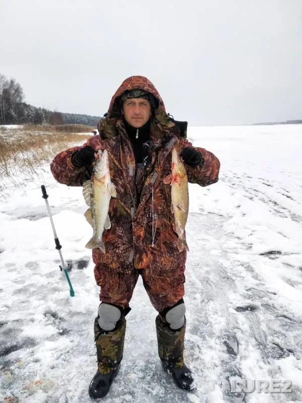 Pike, Zander — Soligorskoye, Dec 03, 2018