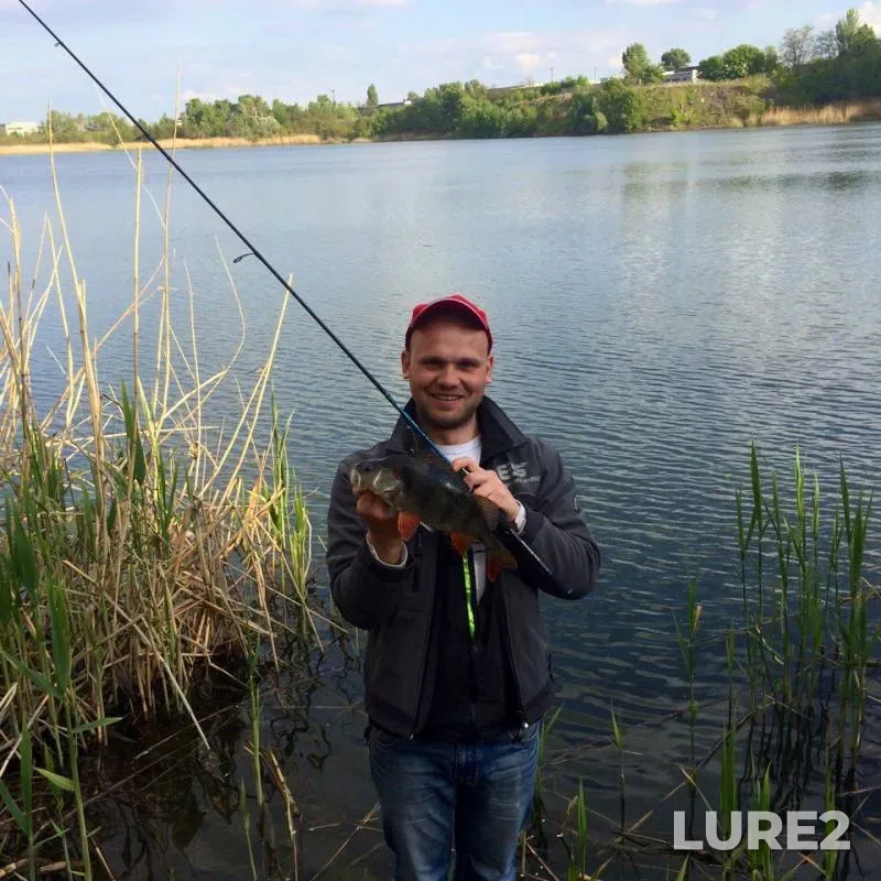 Perch — Dnіpropetrovska oblast, May 19, 2016