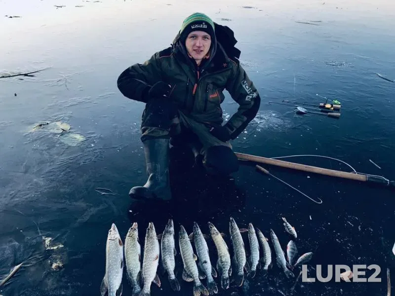 Perch, Pike — Desna, Nov 17, 2018
