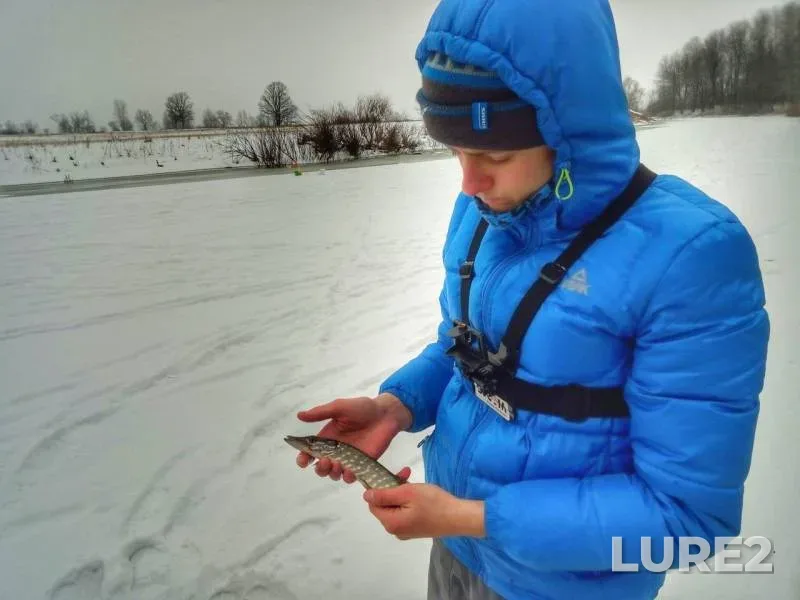 Pike — Desna, Jan 28, 2018