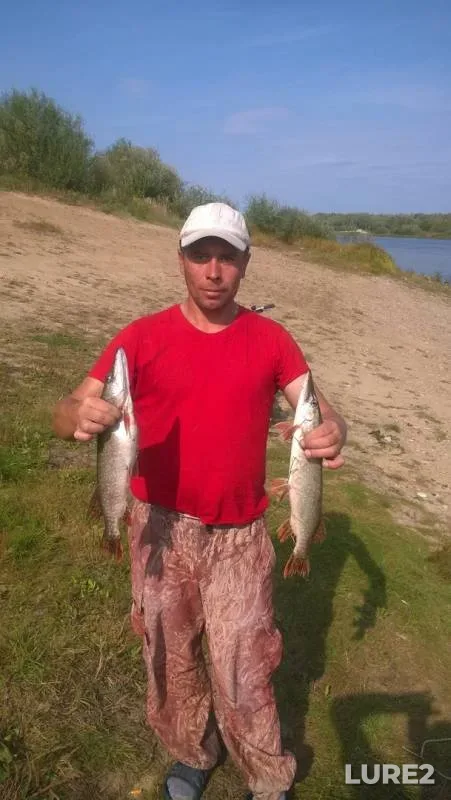 Pike — Oka, Sep 07, 2019