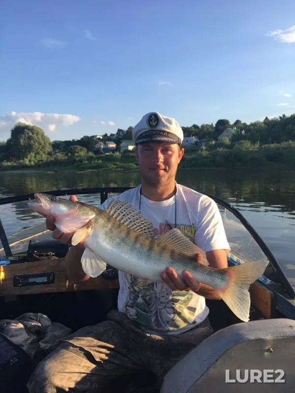 Zander — Oka, Jun 17, 2019