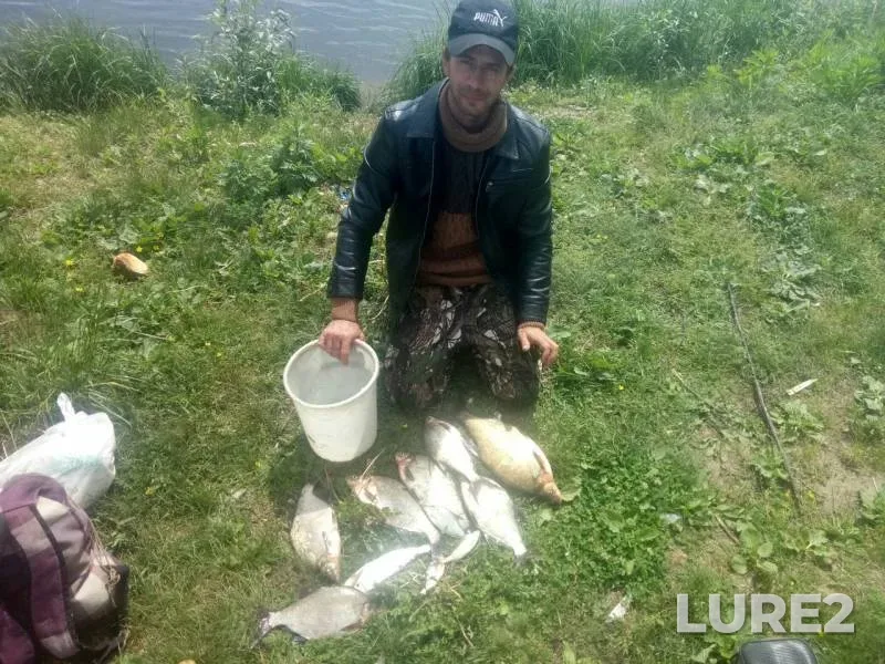 Bream — Oka, Jun 02, 2019