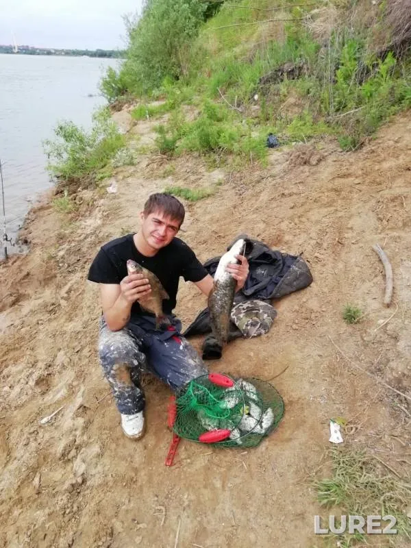 Bream, Wels catfish — Oka, May 27, 2019