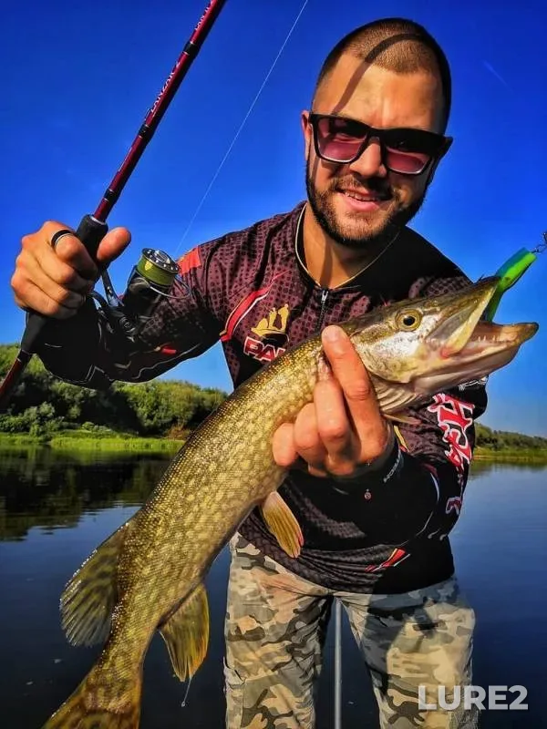 Pike, Zander — Oka, Aug 28, 2018