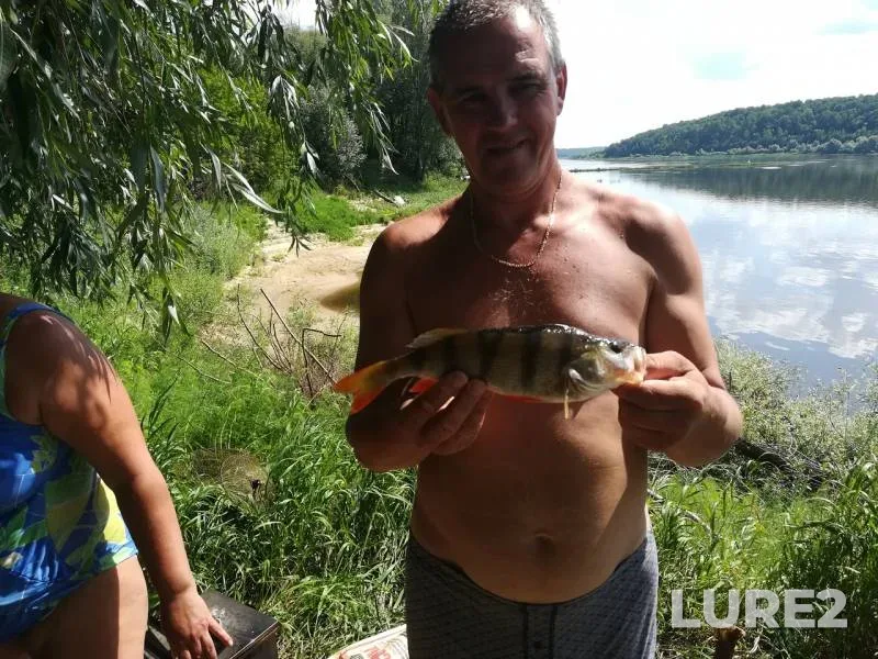 Perch — Oka, Jul 16, 2018