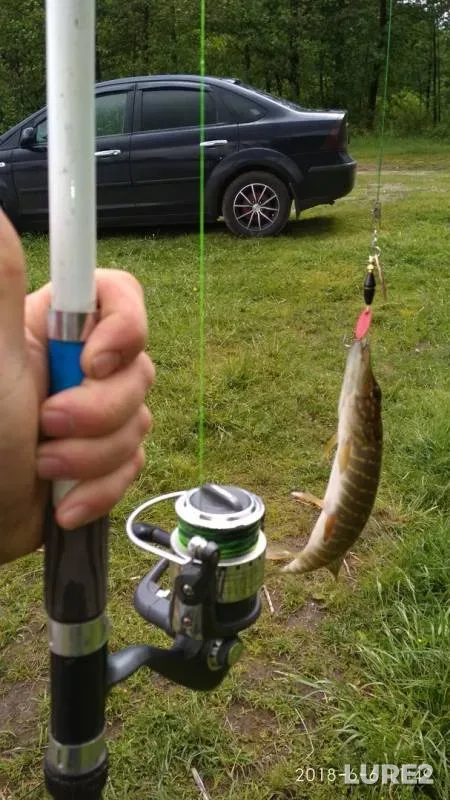 Pike — Ustimskiy, Jun 06, 2018