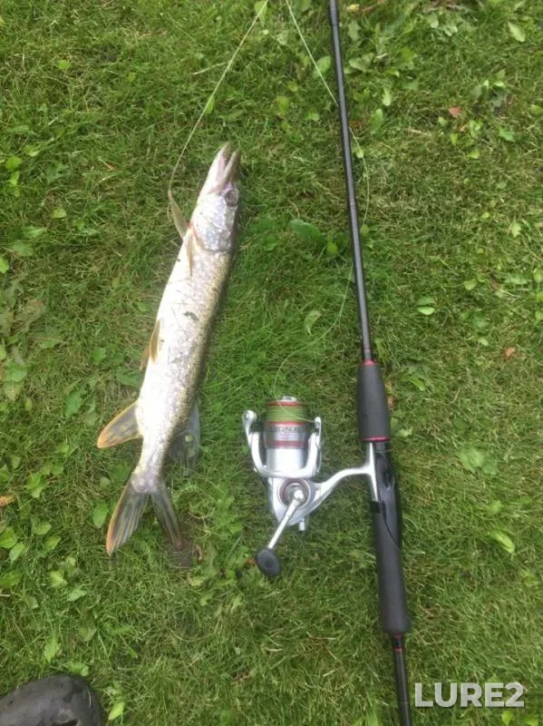 Pike — Bersianka, Aug 03, 2019