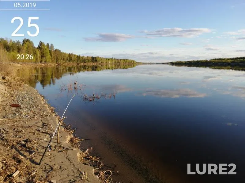 Burbot, Ide — Permskiy kray, May 27, 2019