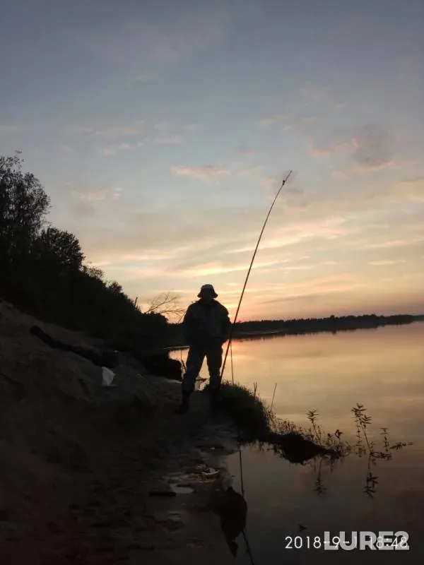 Bream — Vychegda, Mar 09, 2019