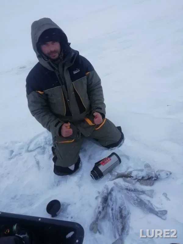 Zander — Volga, Jan 24, 2019
