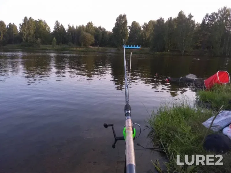 Roach — Reftinskoye, Aug 16, 2019