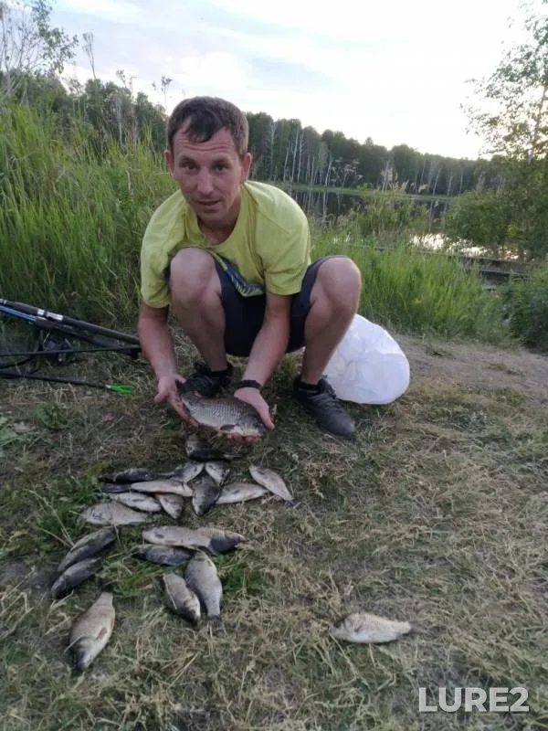 Crucian carp — Baltym, Jun 23, 2019
