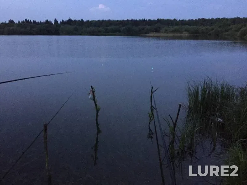 Bream — Neyva, Jun 11, 2019