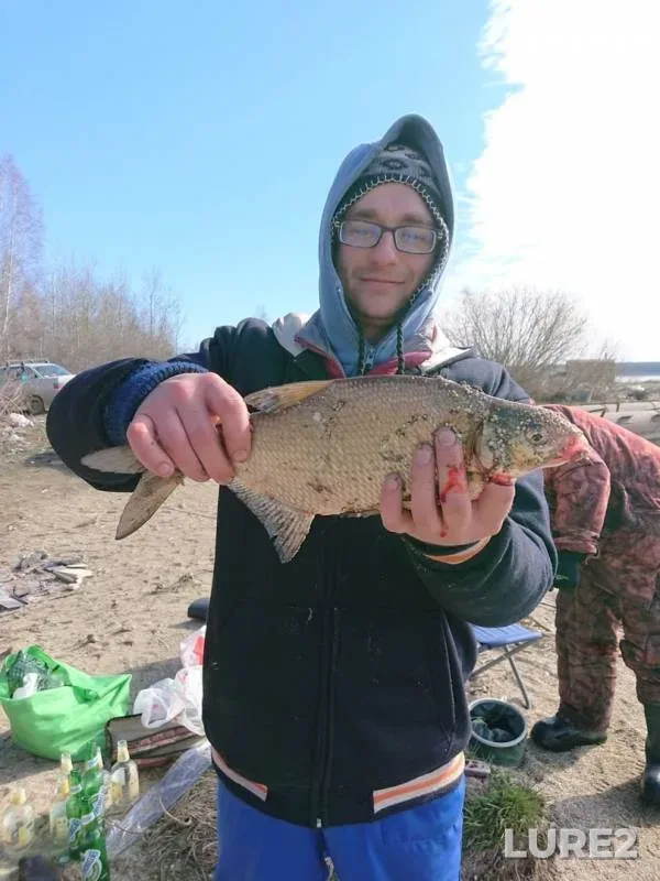 Bream, Perch — Reftinskoye, Apr 15, 2019