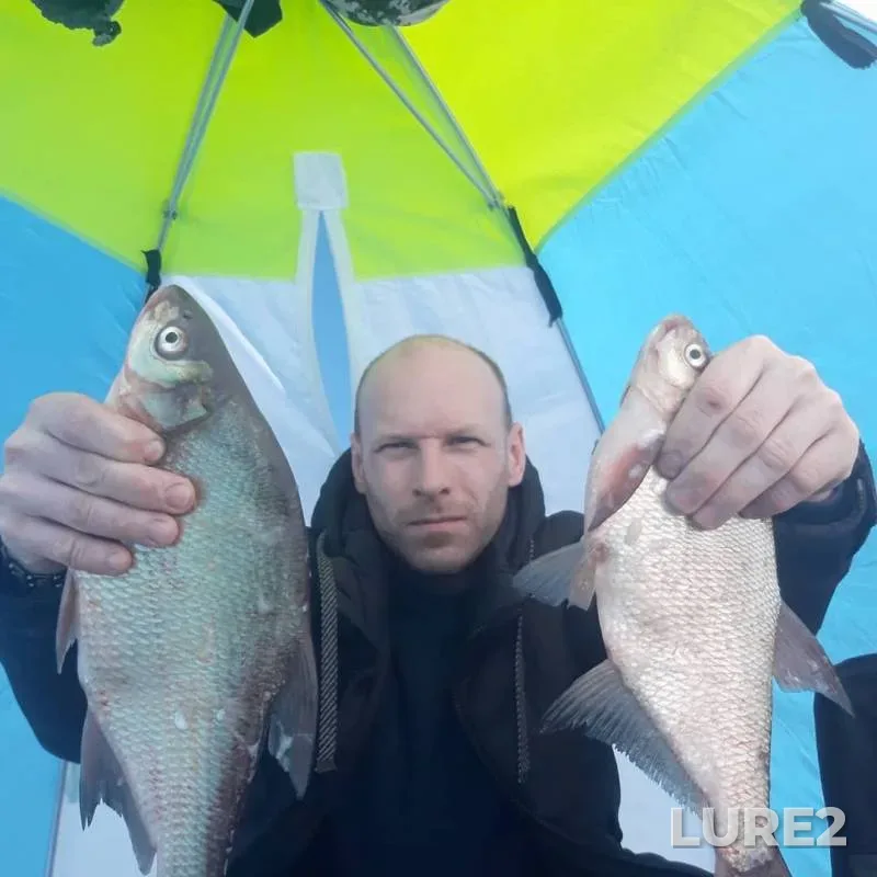 Bream — Pushkarikha, Apr 06, 2019