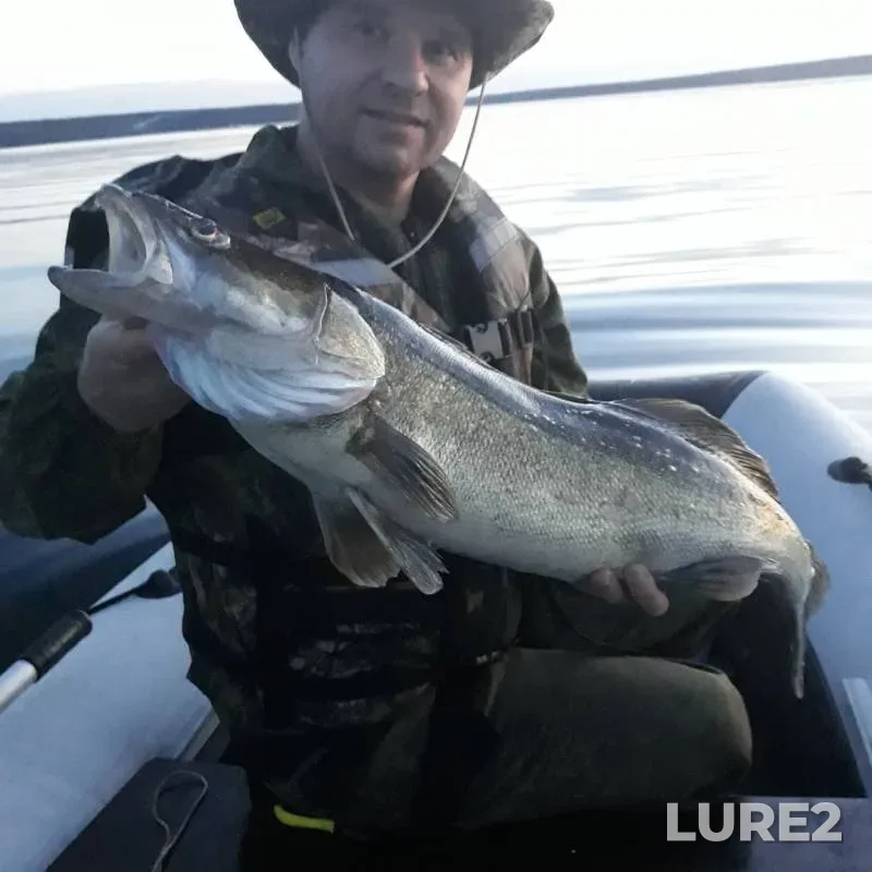 Zander — Beloyarskoye, Jun 27, 2018