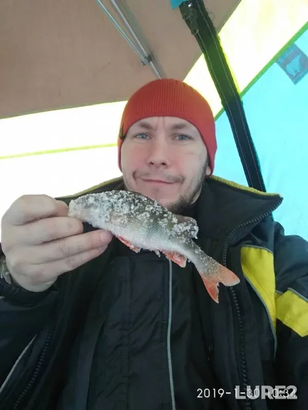 Perch — Beloyarskoye, Jan 30, 2019