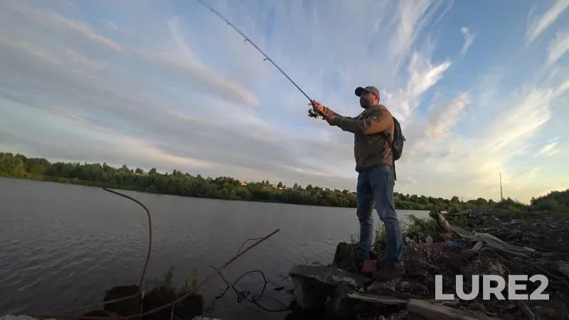 Perch — Severnaya Dvina, Jul 09, 2019
